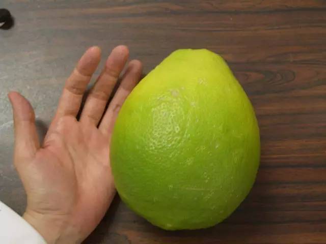 倪海厦：巨大的柠檬