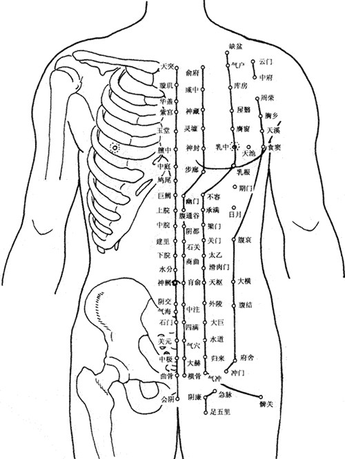 人体穴位大全之-胸部腹部穴位图