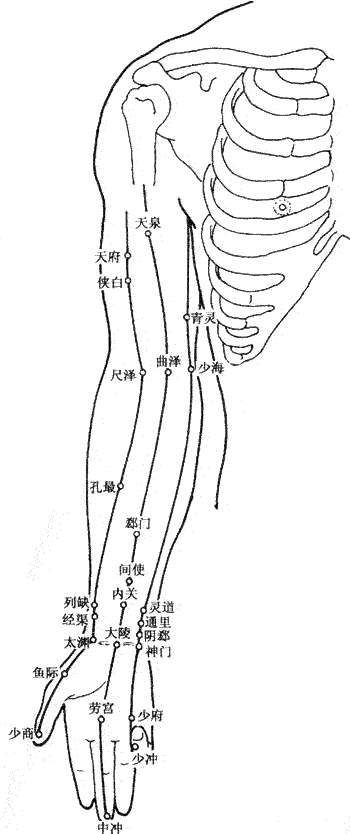 人体穴位大全之-上肢内侧穴位图